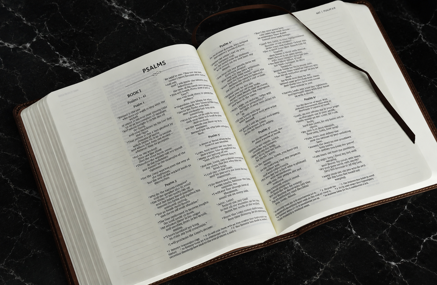 NIV Journal the Word Bible — Double Column, Leathersoft, Brown (Personalized)